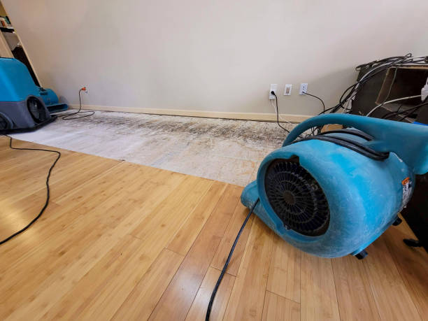 Professional Structural Drying technician working in Doon, IA